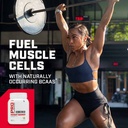 PP WEIGHT GAINER VAN ICE CREAM 2.5LB