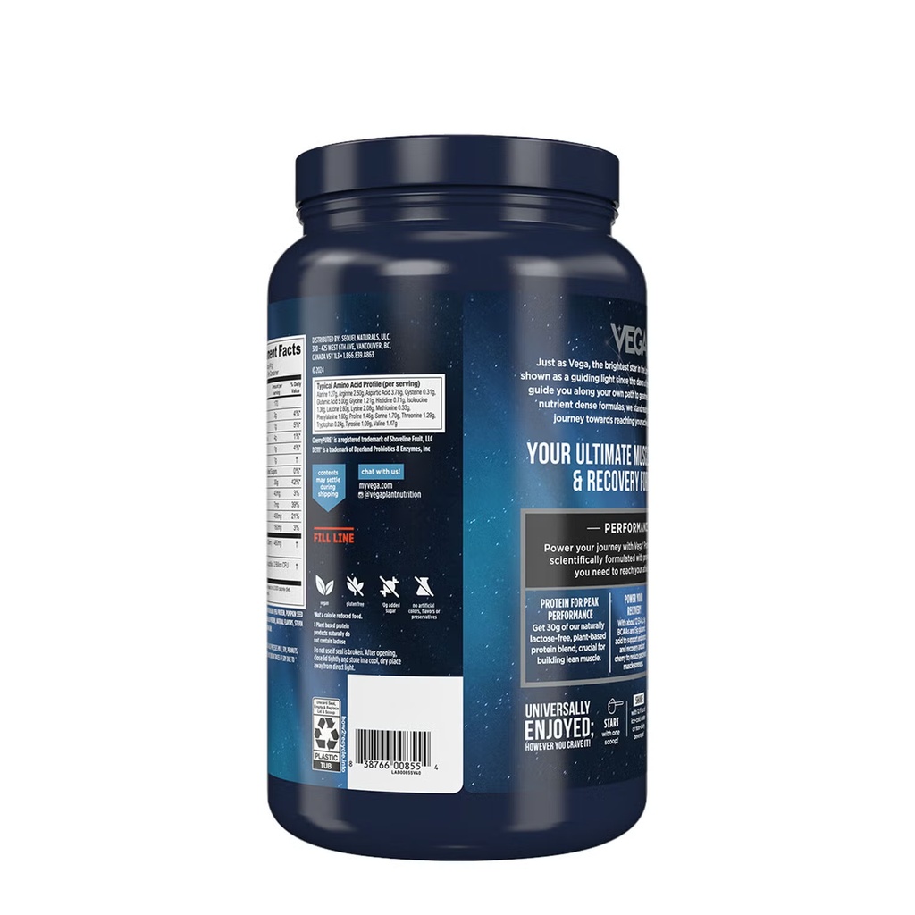 VEGA SPORT PRTN PROTEIN VAN 1LB