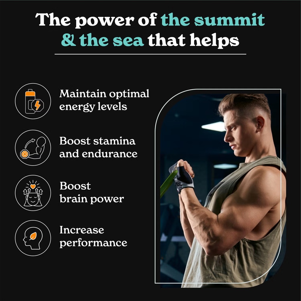 BETTERALT SHILAJIT SEAMOSS 120 CAPS