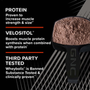AMP ADV 100% WHEY PROTEIN VAN 4.9LB