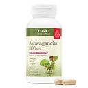 HP ASHWAGANDHA 600MG  60's
